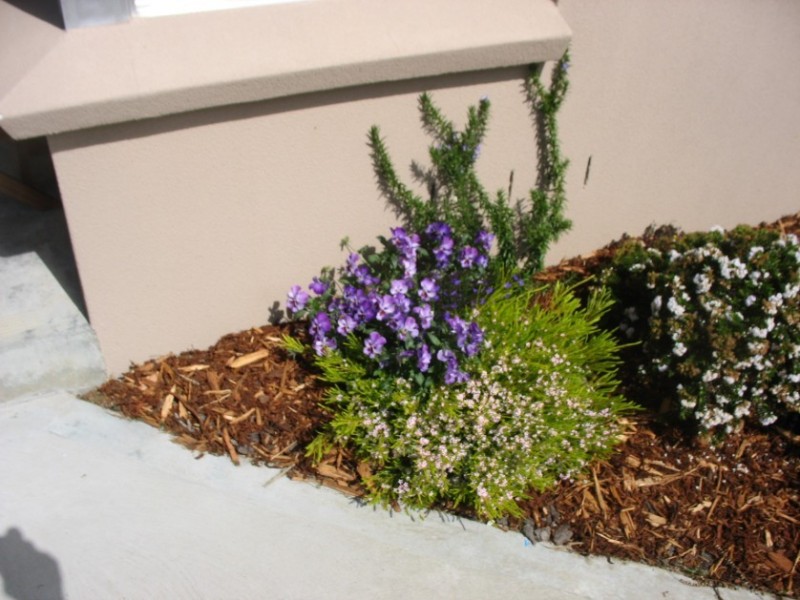 1/53 Van Morey Road, Margate TAS 7054