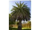 28 Balmoral Road, Kingston Beach TAS 7050