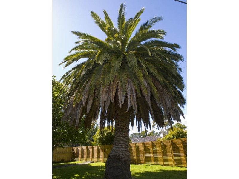 28 Balmoral Road, Kingston Beach TAS 7050