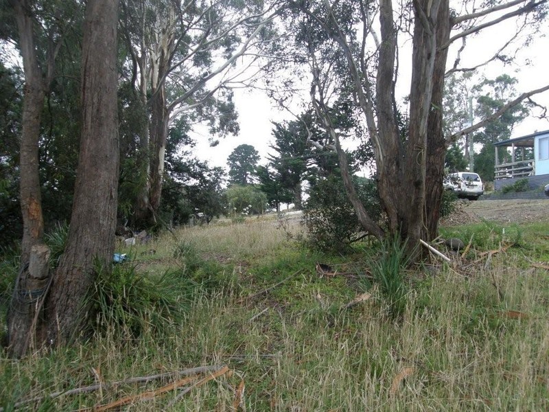 19 Victoria Street, Dennes Point TAS 7150