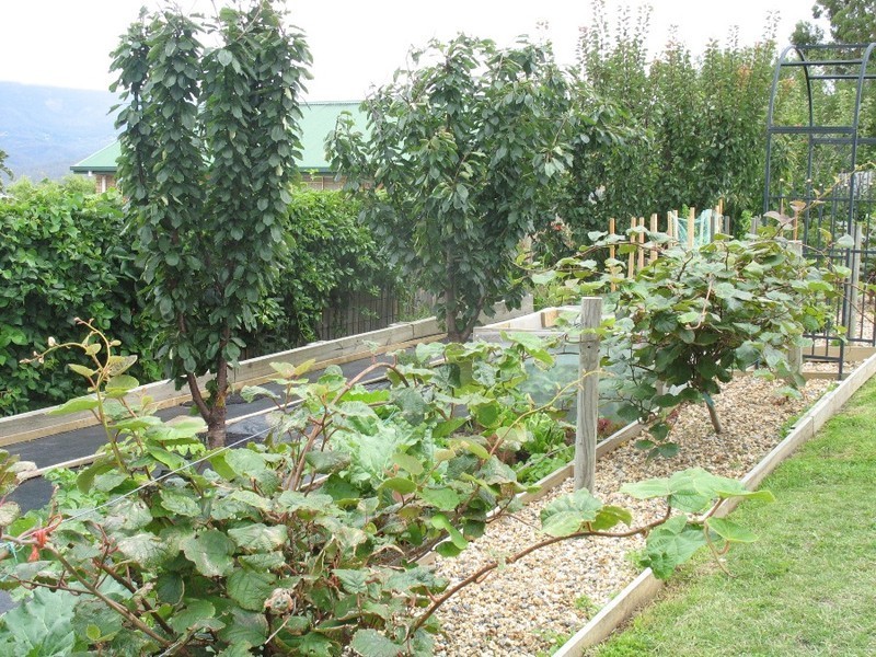 3 Bowral Court, Kingston TAS 7050