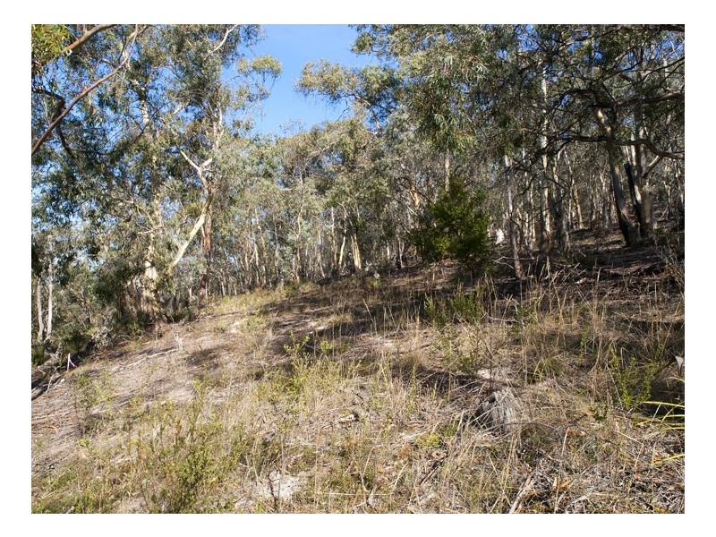 305 Tinderbox Road, Tinderbox TAS 7054