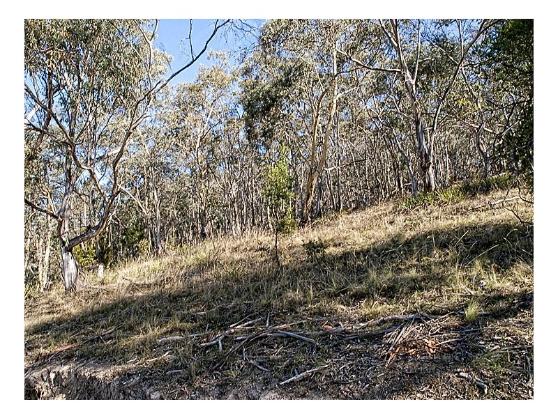 305 Tinderbox Road, Tinderbox TAS 7054