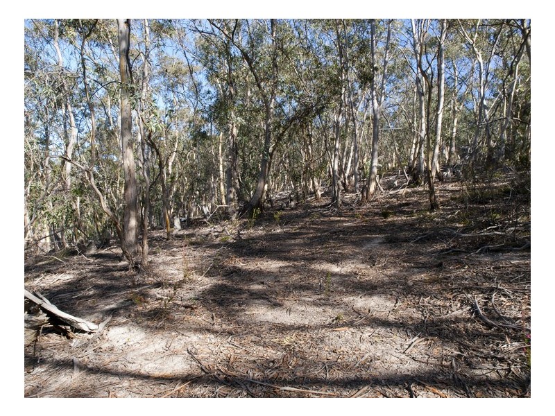 305 Tinderbox Road, Tinderbox TAS 7054