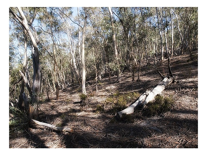 305 Tinderbox Road, Tinderbox TAS 7054