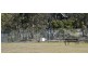 305 Tinderbox Road, Tinderbox TAS 7054