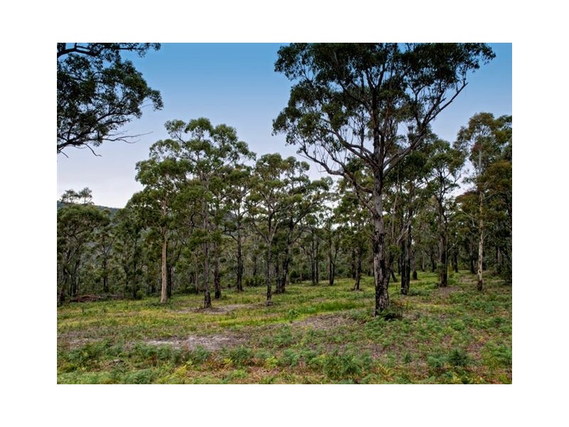 211 Proctors Road, Kingston TAS 7050