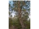 211 Proctors Road, Kingston TAS 7050