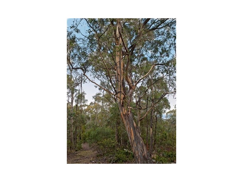 211 Proctors Road, Kingston TAS 7050