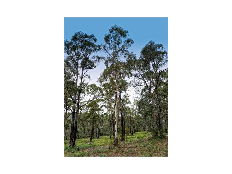 211 Proctors Road, Kingston TAS 7050