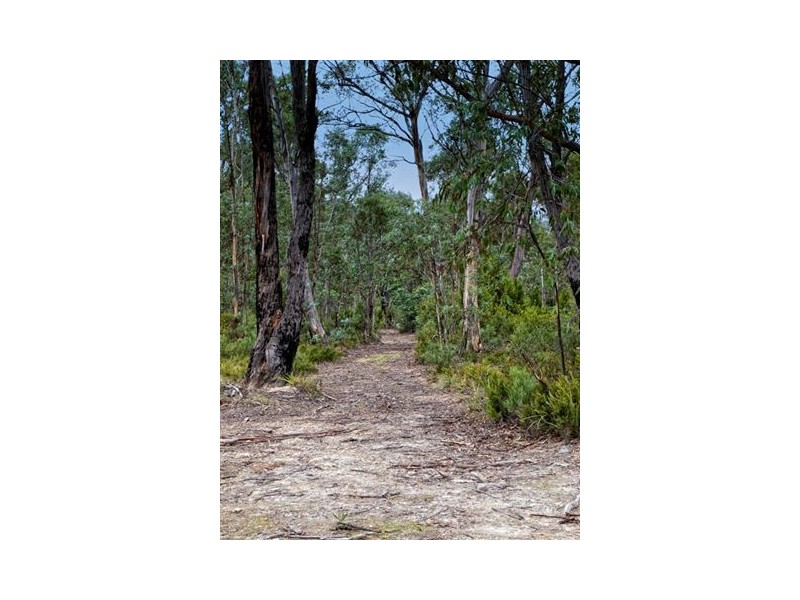 211 Proctors Road, Kingston TAS 7050