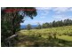 5370 Channel Highway, Gordon TAS 7150
