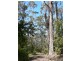 5370 Channel Highway, Gordon TAS 7150