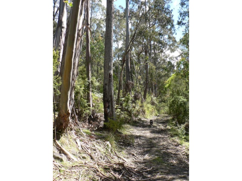 5370 Channel Highway, Gordon TAS 7150