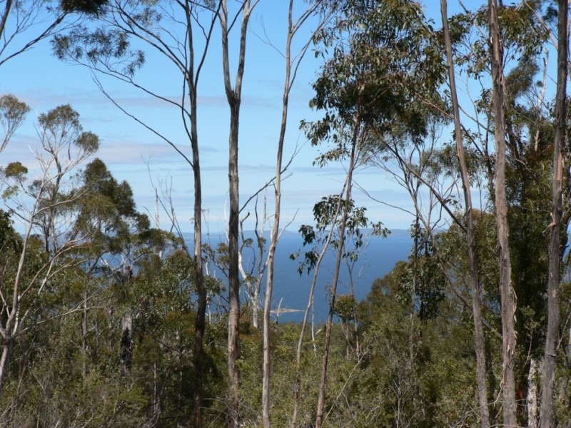5370 Channel Highway, Gordon TAS 7150