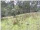 Lot 2 5370 Channel Highway, Gordon TAS 7150