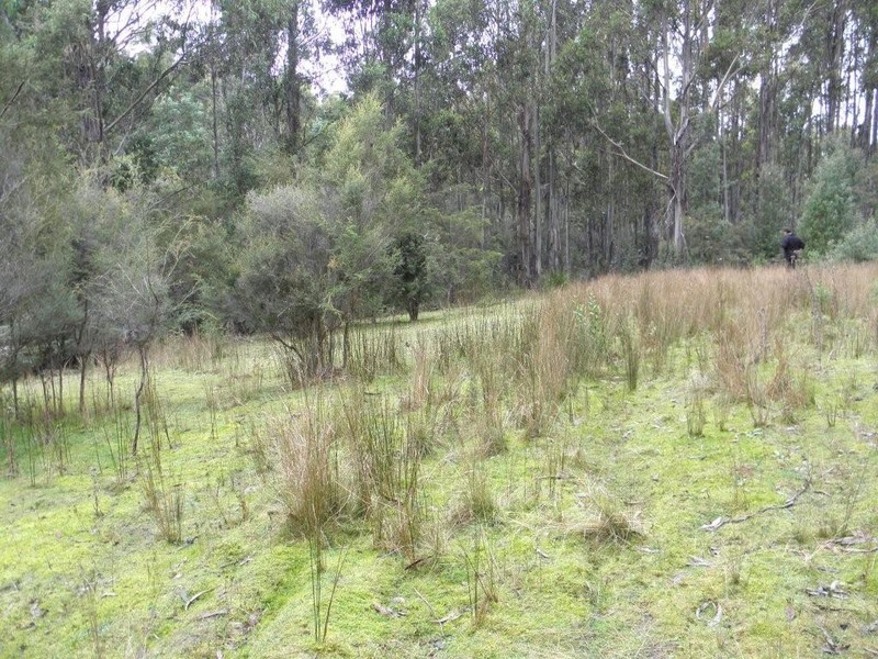 Lot 2 5370 Channel Highway, Gordon TAS 7150