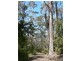 Lot 2 5370 Channel Highway, Gordon TAS 7150