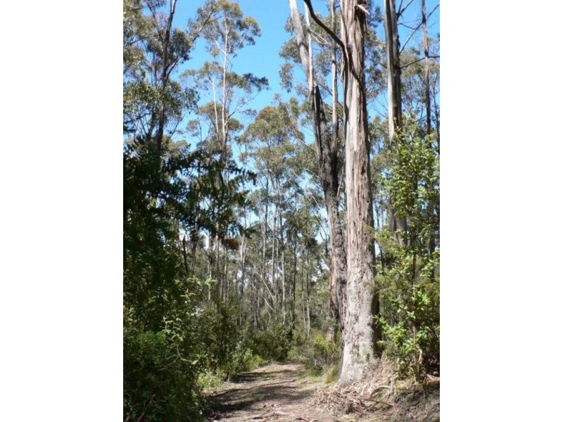 Lot 2 5370 Channel Highway, Gordon TAS 7150