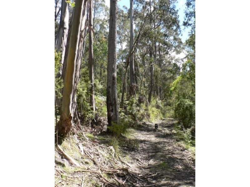 Lot 2 5370 Channel Highway, Gordon TAS 7150