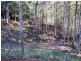 220 Pelverata Road, Sandfly TAS 7150