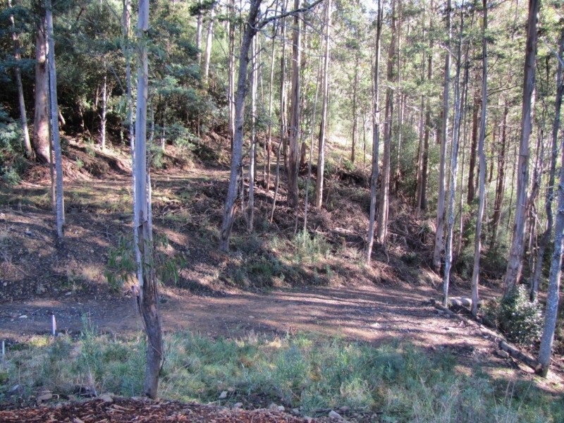 220 Pelverata Road, Sandfly TAS 7150