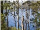 320 Tinderbox Road, Tinderbox TAS 7054