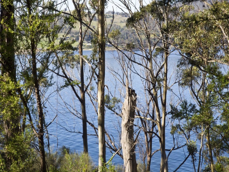320 Tinderbox Road, Tinderbox TAS 7054