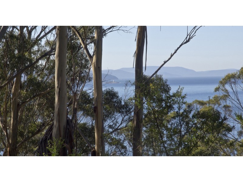 320 Tinderbox Road, Tinderbox TAS 7054