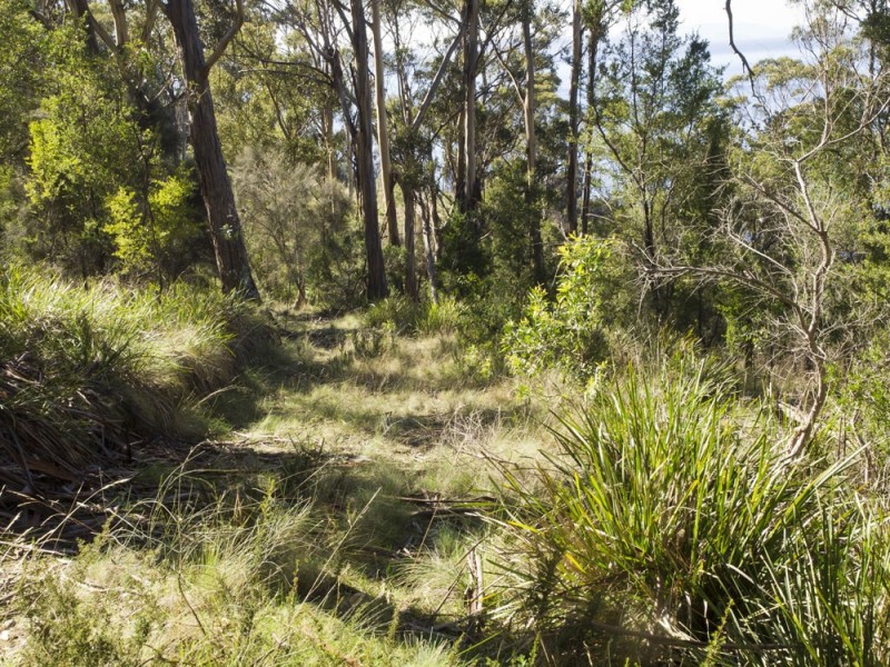 320 Tinderbox Road, Tinderbox TAS 7054
