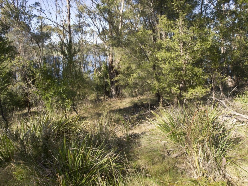 320 Tinderbox Road, Tinderbox TAS 7054