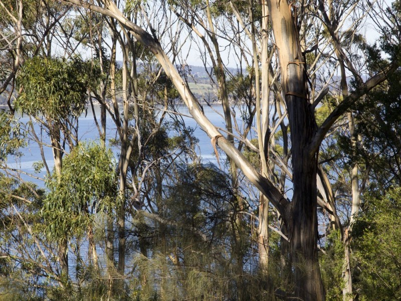 320 Tinderbox Road, Tinderbox TAS 7054