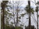 320 Tinderbox Road, Tinderbox TAS 7054