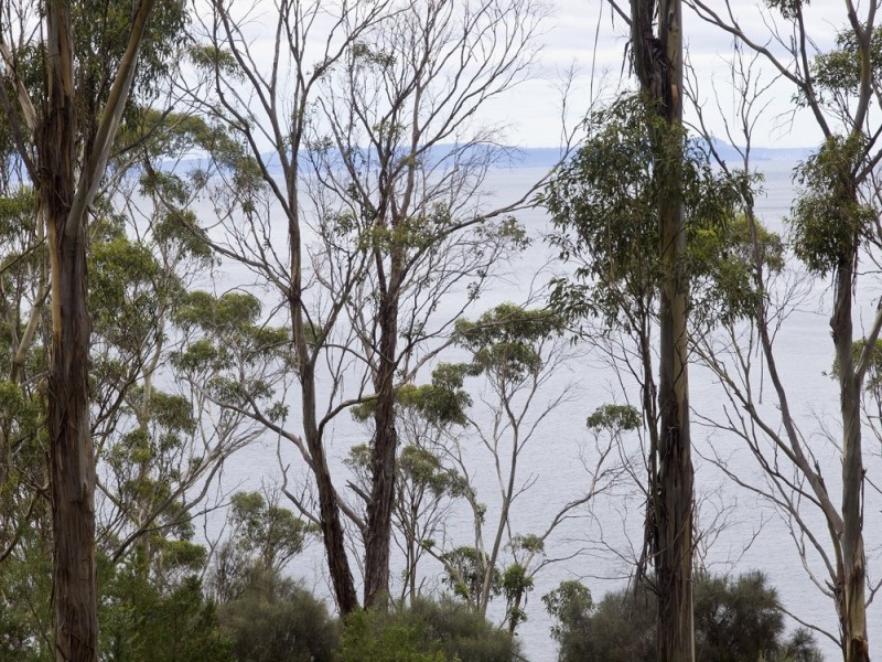 320 Tinderbox Road, Tinderbox TAS 7054