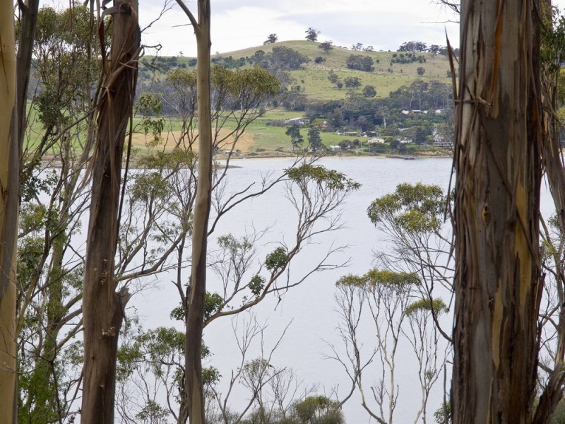 320 Tinderbox Road, Tinderbox TAS 7054