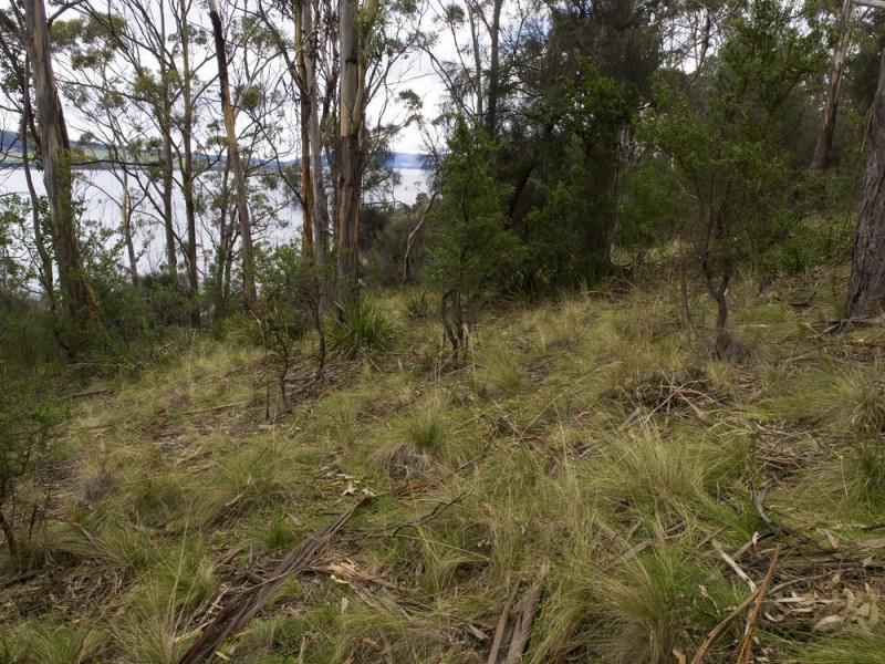 320 Tinderbox Road, Tinderbox TAS 7054