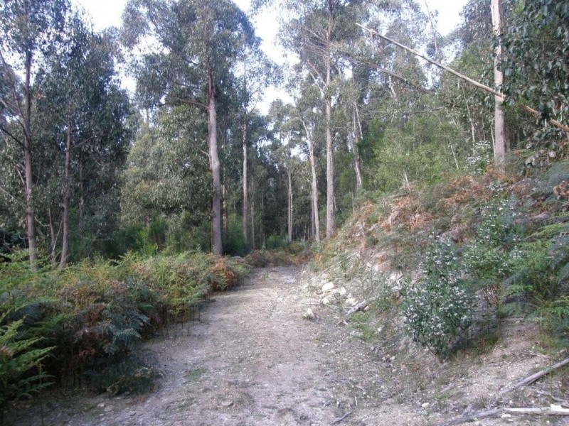 Lot 1 394 Old Bernies Road, Margate TAS 7054