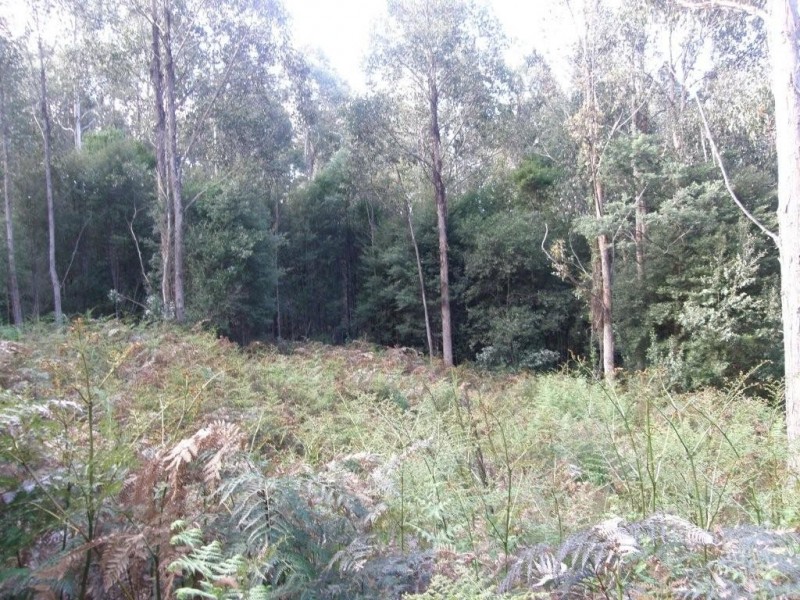 Lot 1 394 Old Bernies Road, Margate TAS 7054