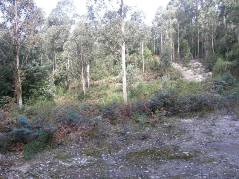 Lot 1 394 Old Bernies Road, Margate TAS 7054