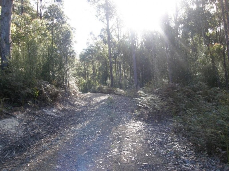 Lot 1 394 Old Bernies Road, Margate TAS 7054