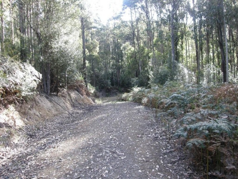 Lot 1 394 Old Bernies Road, Margate TAS 7054