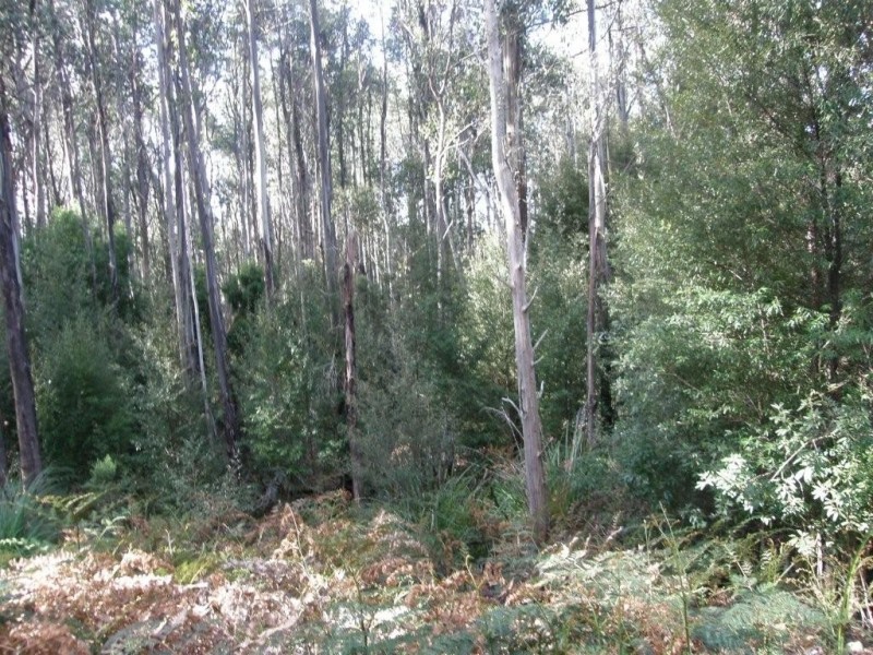 Lot 1 394 Old Bernies Road, Margate TAS 7054