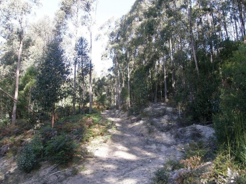 Lot 1 394 Old Bernies Road, Margate TAS 7054