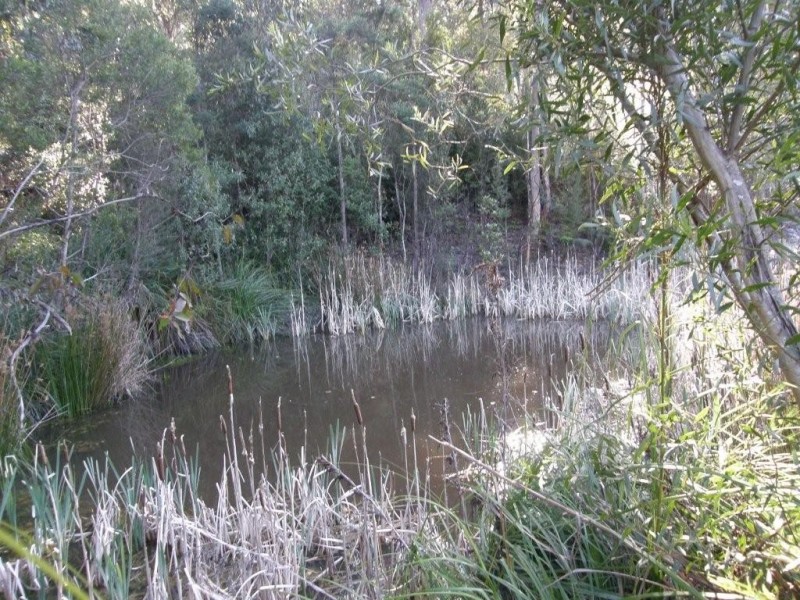 Lot 1 394 Old Bernies Road, Margate TAS 7054