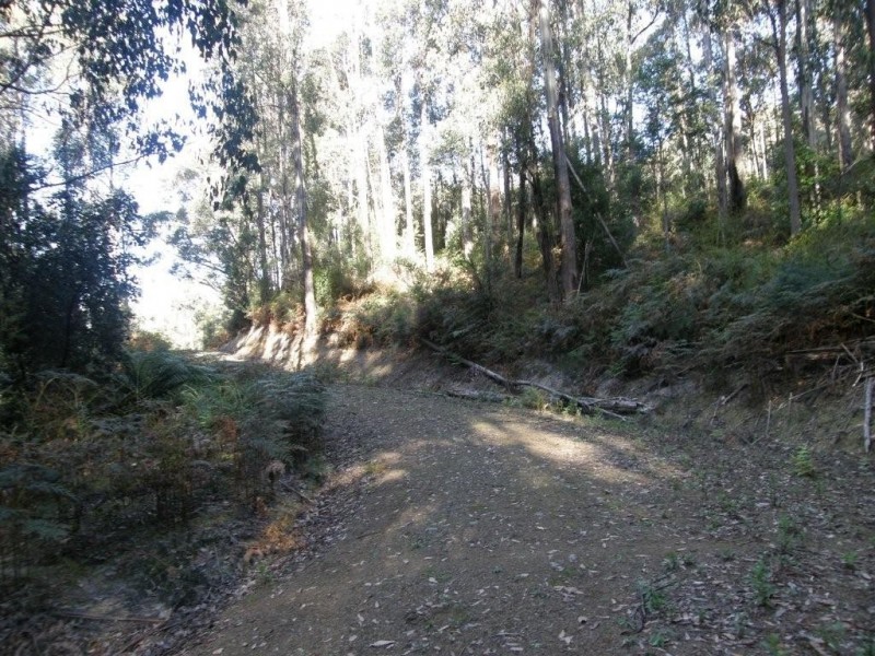 Lot 1 394 Old Bernies Road, Margate TAS 7054