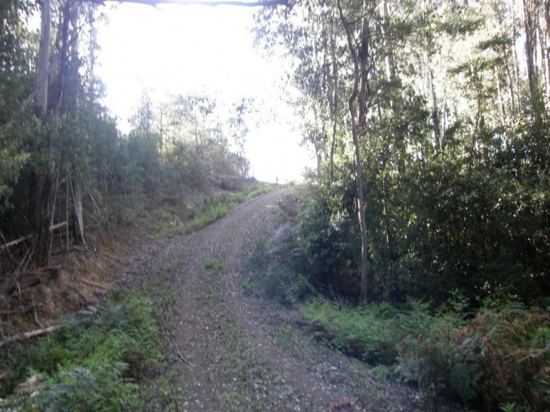 Lot 1 394 Old Bernies Road, Margate TAS 7054