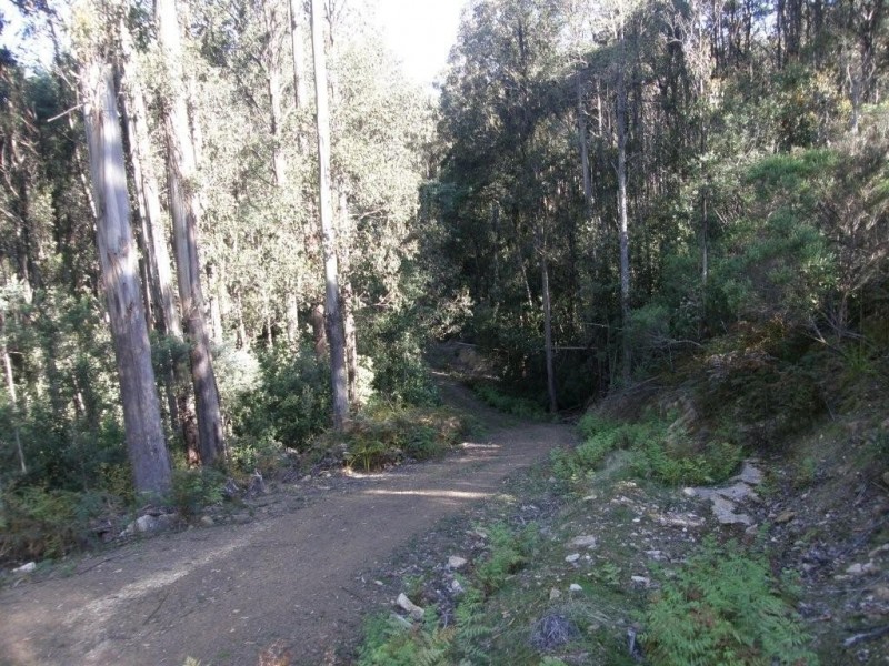 Lot 1 394 Old Bernies Road, Margate TAS 7054