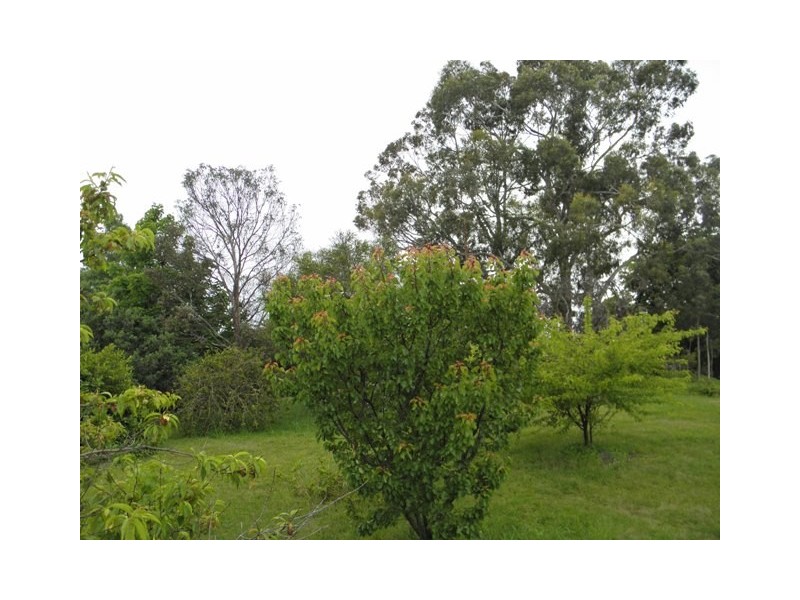 31 Windsor Street, Kingston Beach TAS 7050