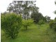 31 Windsor Street, Kingston Beach TAS 7050