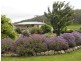 15 Wilsons Road, Deep Bay TAS 7112